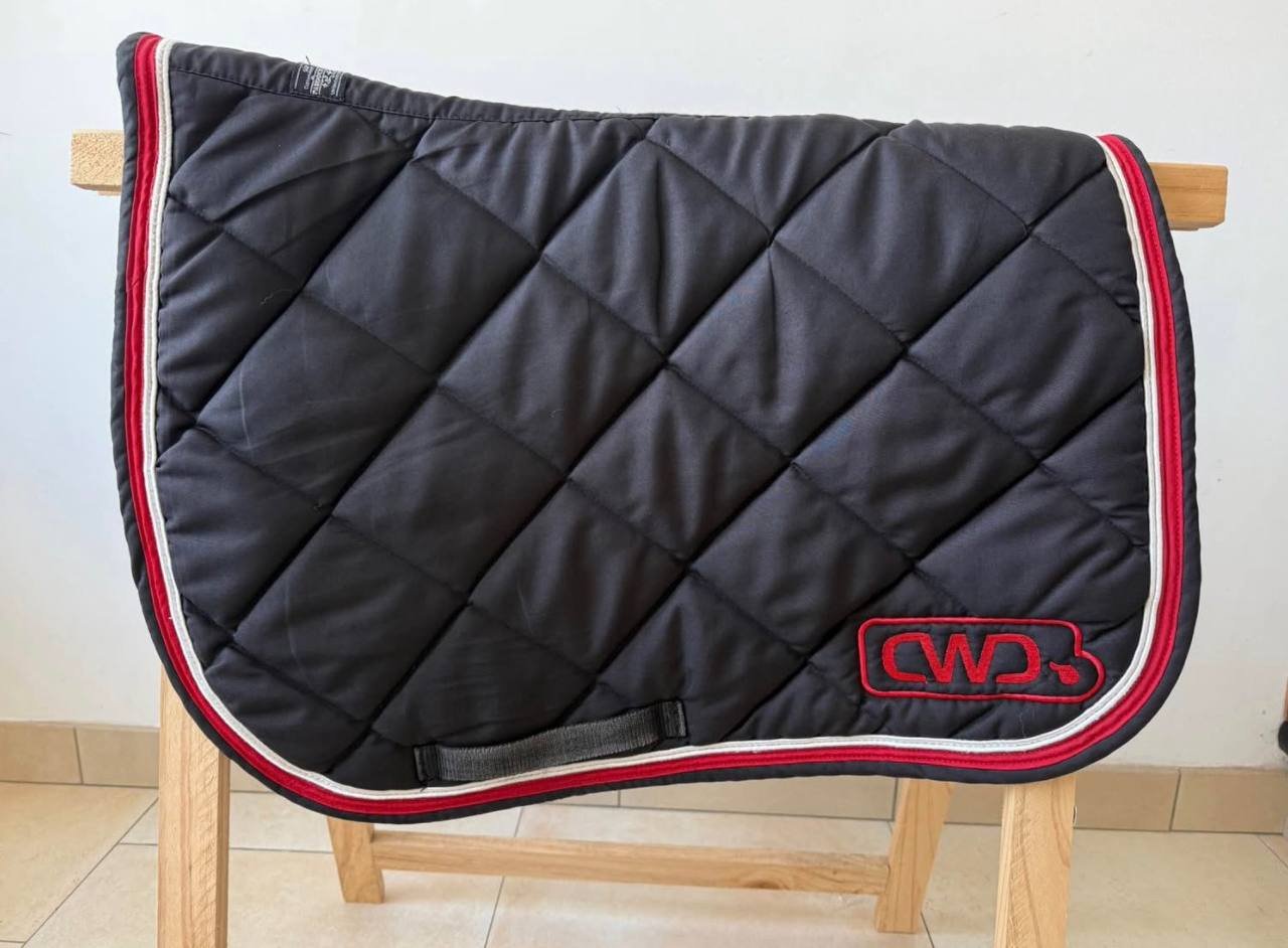 lot cwd 2gs 17" noir & ivoire (2022) lot cwd 2gs 17" noir & ivoire (2022)